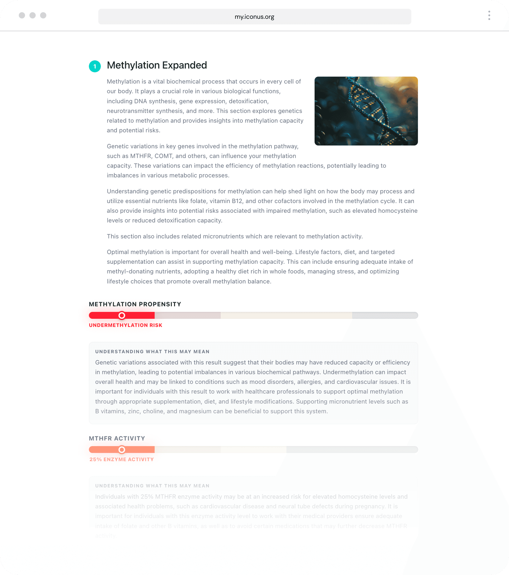 A methylation result in the Iconus portal, with a gauge labeled Undermethylation Risk and a plain-language explanation.